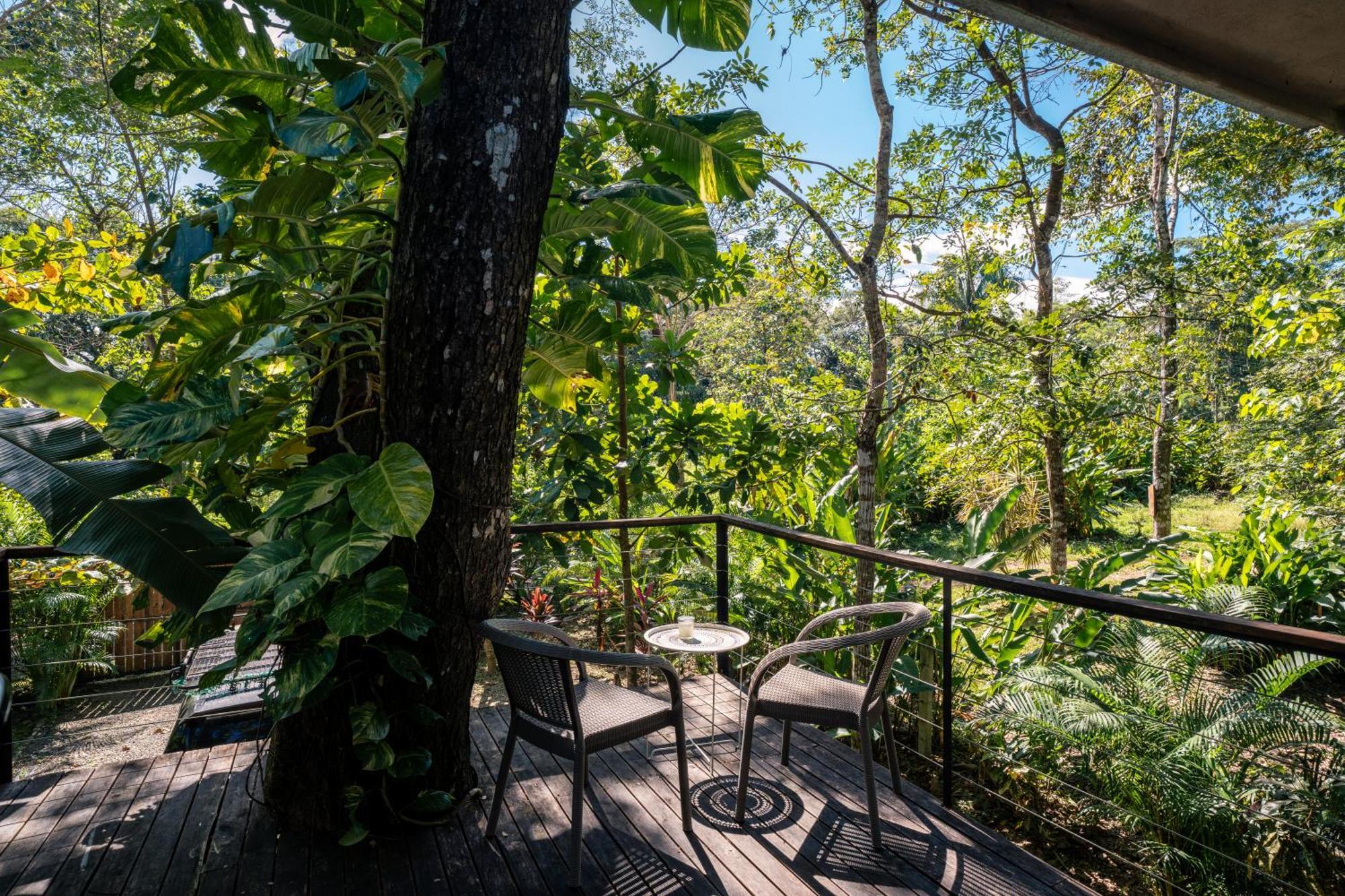 Feeling Trees Jungle Lodge Cabuya  Eksteriør billede