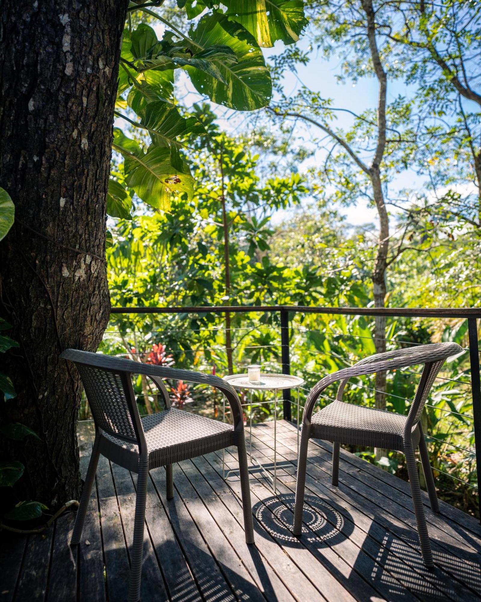 Feeling Trees Jungle Lodge Cabuya  Eksteriør billede