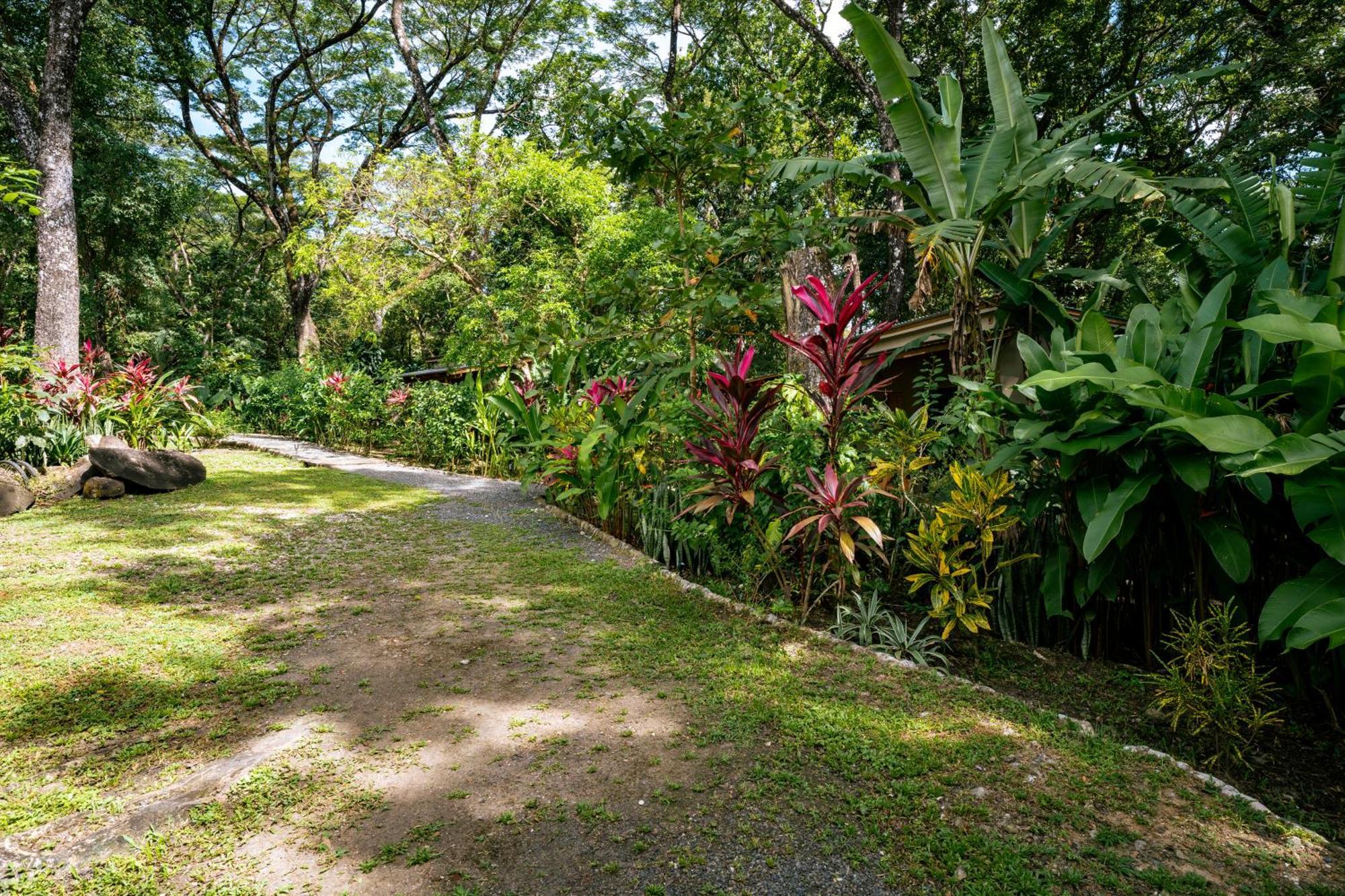 Feeling Trees Jungle Lodge Cabuya  Eksteriør billede