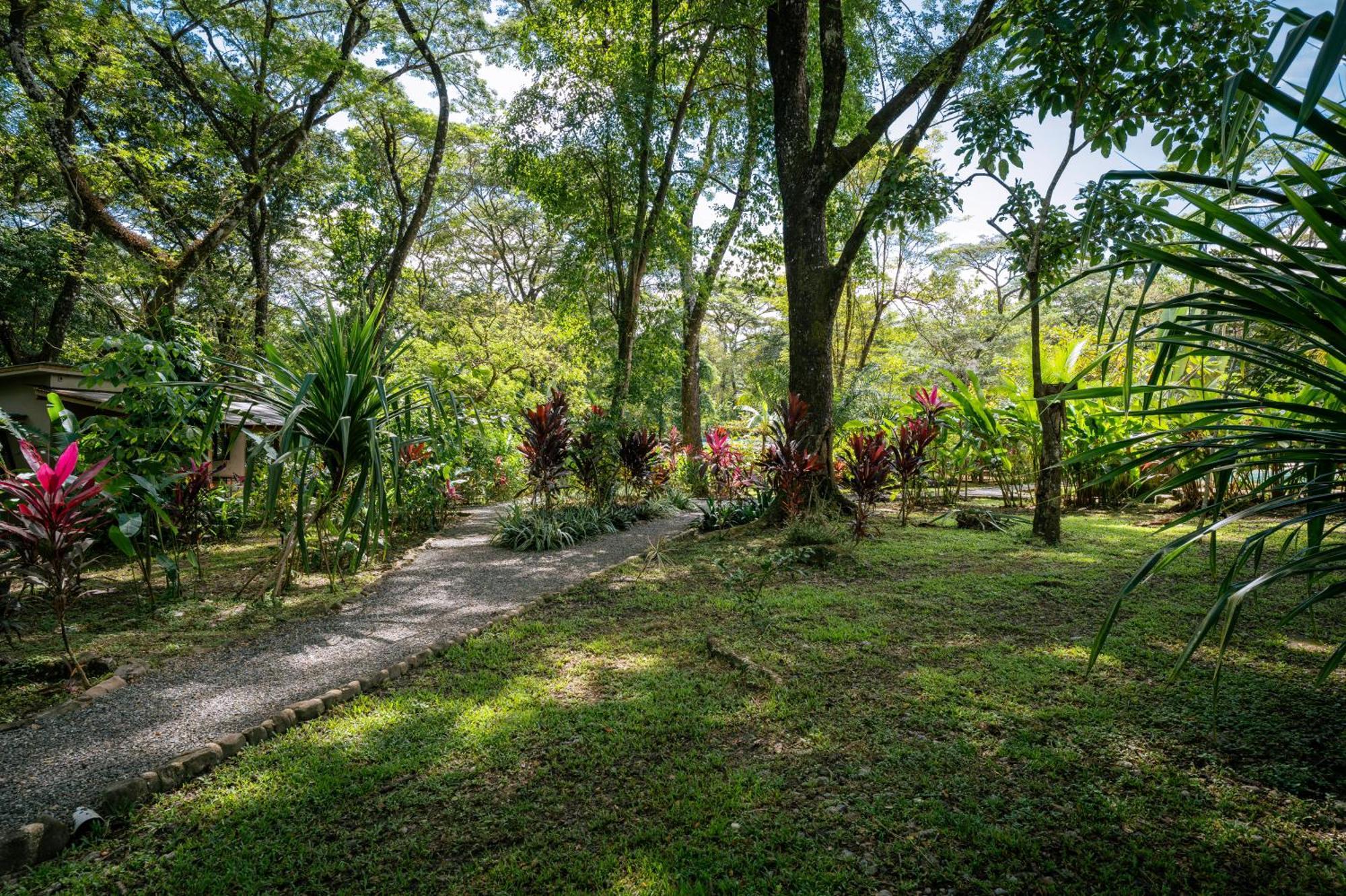 Feeling Trees Jungle Lodge Cabuya  Eksteriør billede