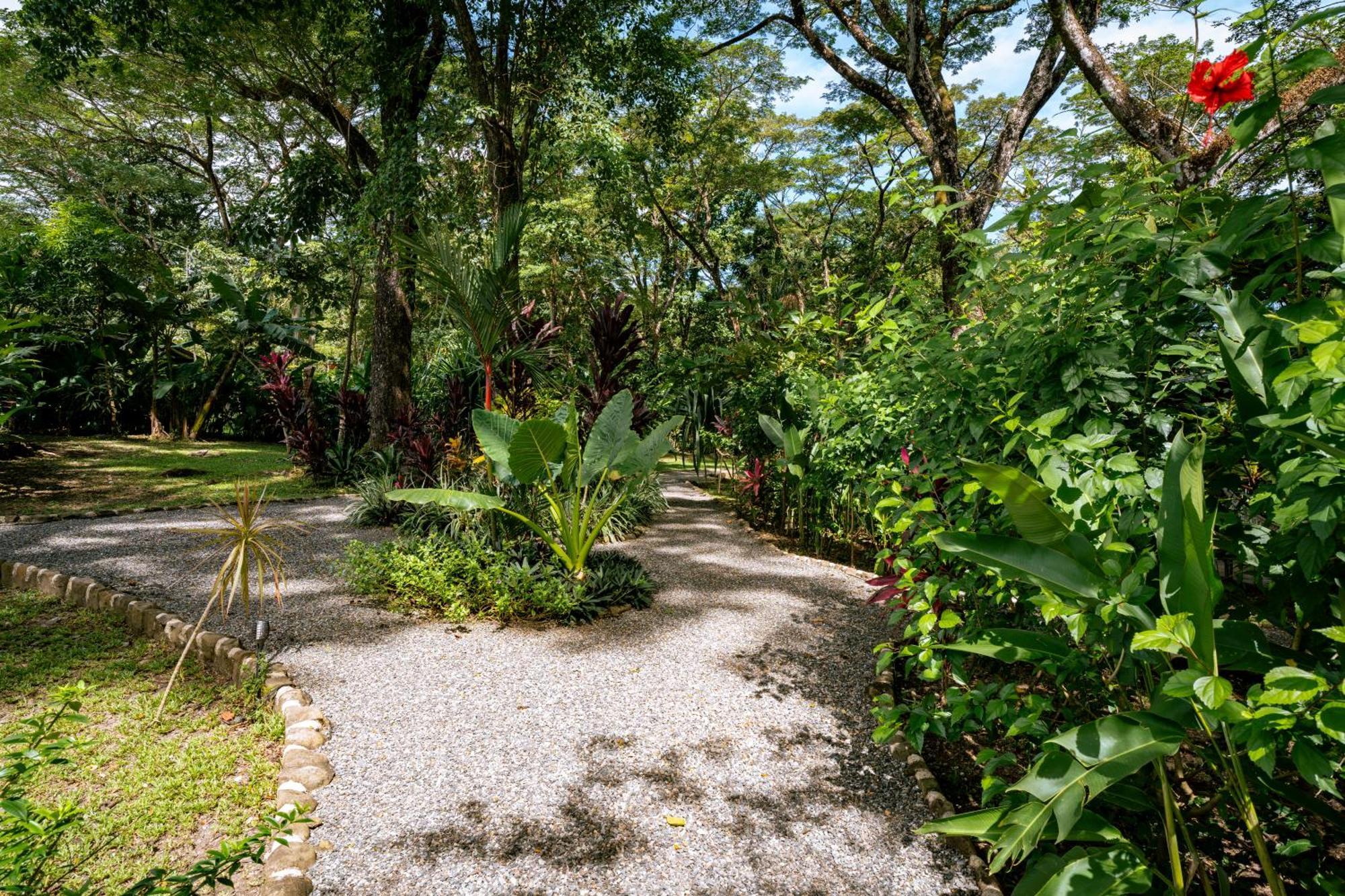 Feeling Trees Jungle Lodge Cabuya  Eksteriør billede