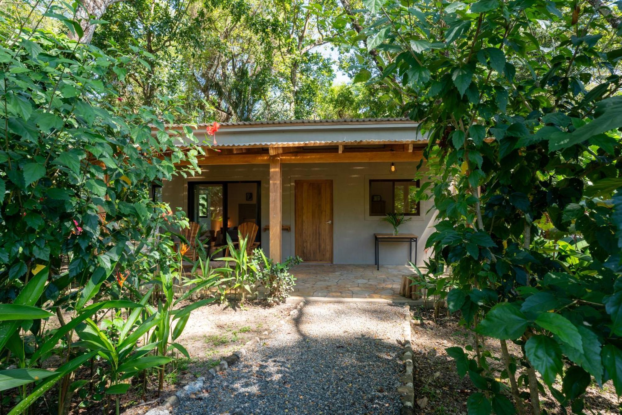 Feeling Trees Jungle Lodge Cabuya  Eksteriør billede