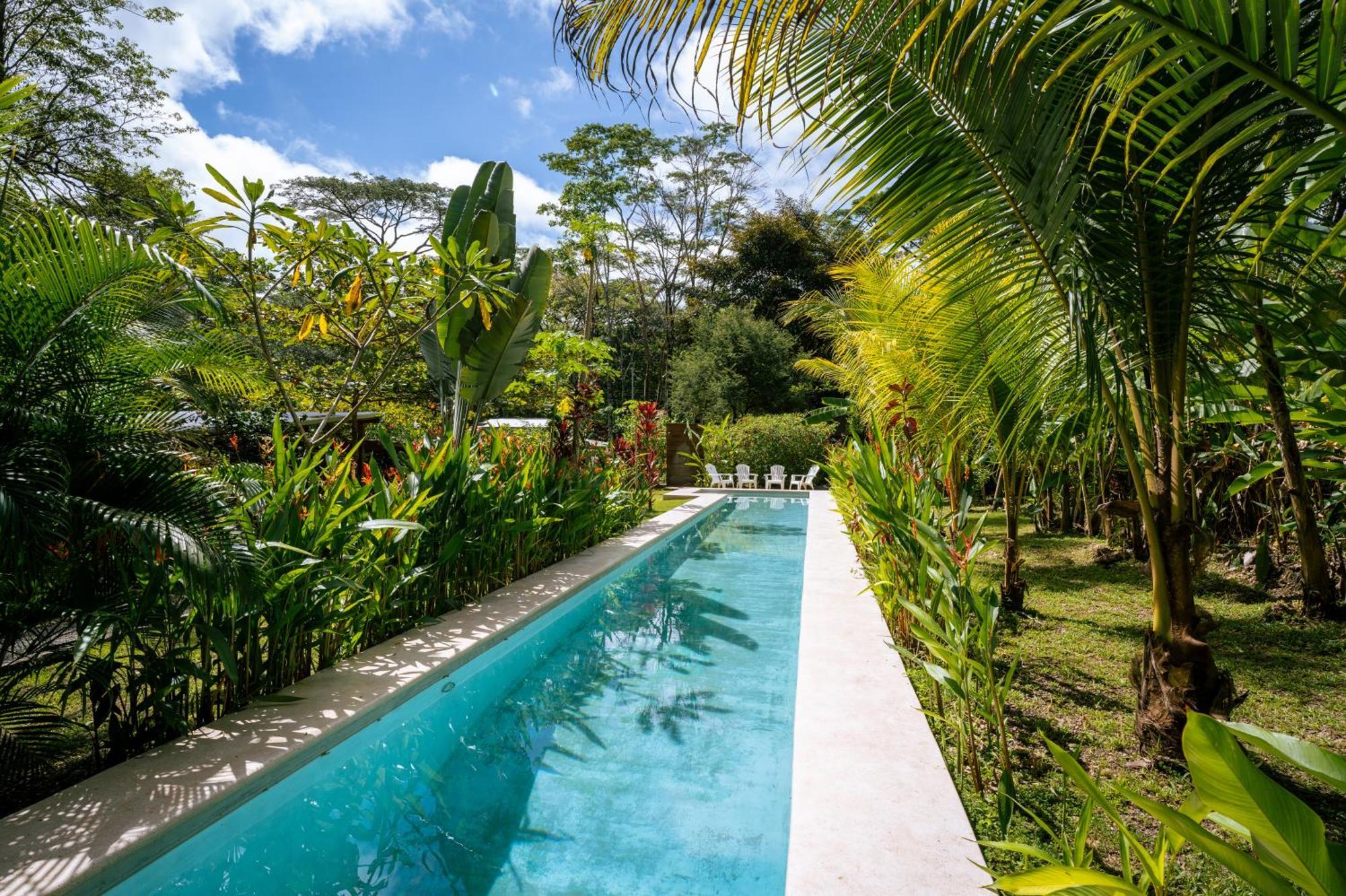 Feeling Trees Jungle Lodge Cabuya  Eksteriør billede