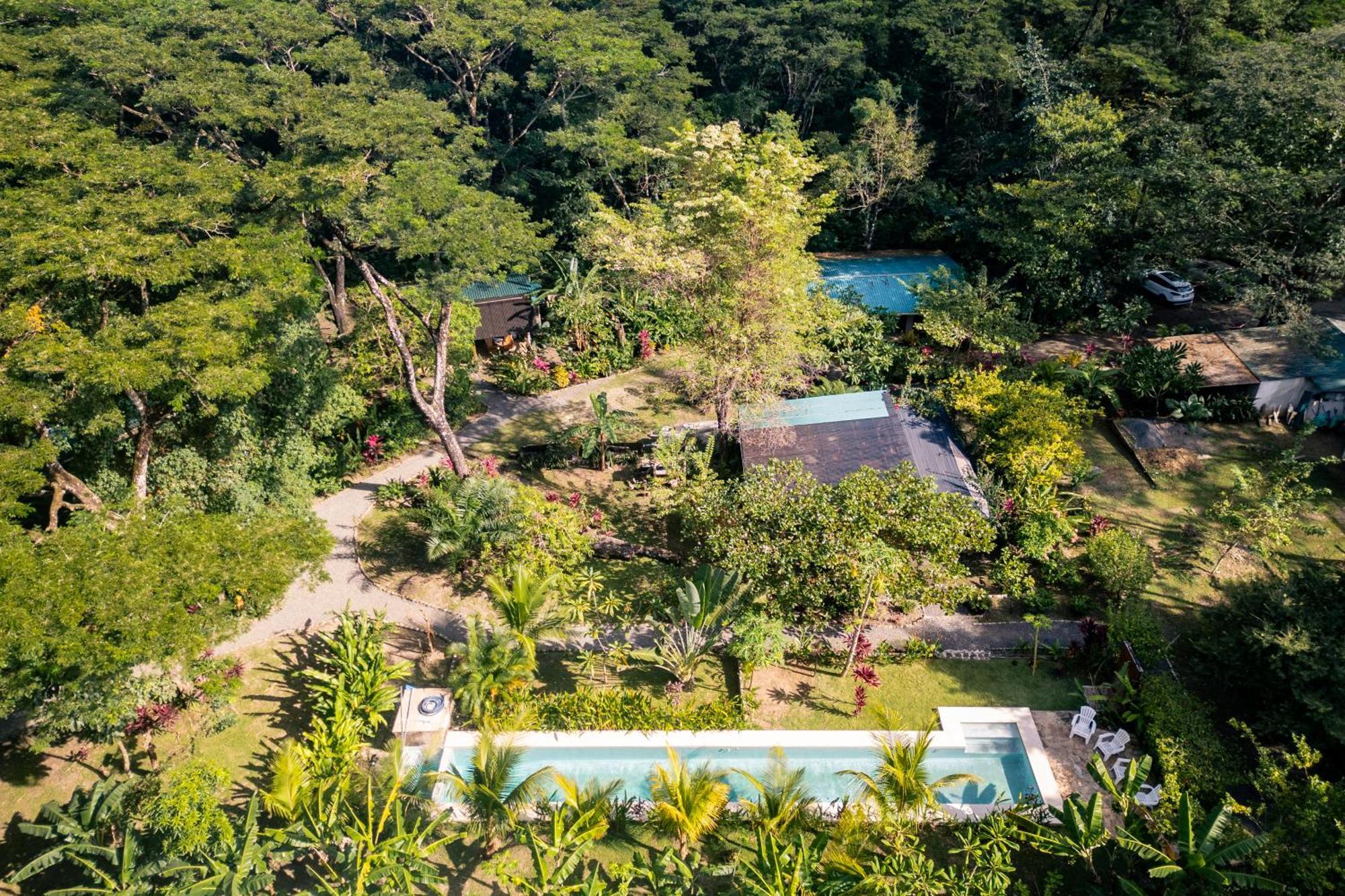 Feeling Trees Jungle Lodge Cabuya  Eksteriør billede