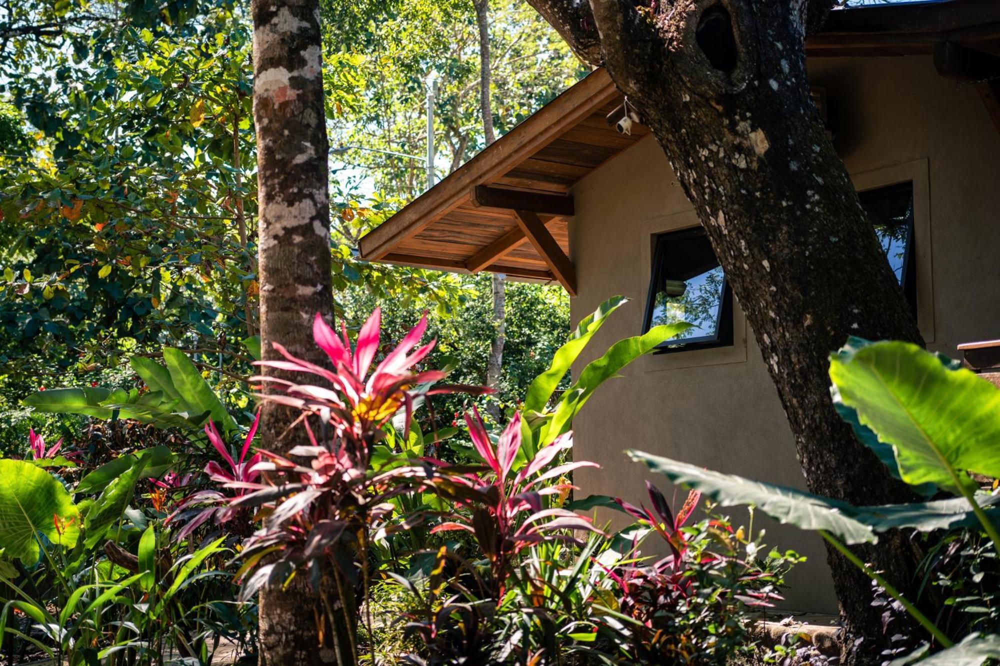 Feeling Trees Jungle Lodge Cabuya  Eksteriør billede